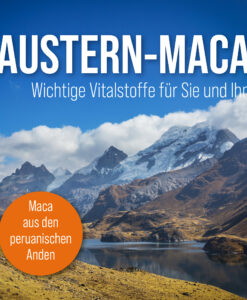 Viên uống tăng cường sinh lý Austern Maca Aktiv kapseln, 120 viên