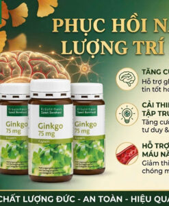 Viên uống bổ não Sanct Bernhard Ginkgo Kapseln 75mg, 240 viên