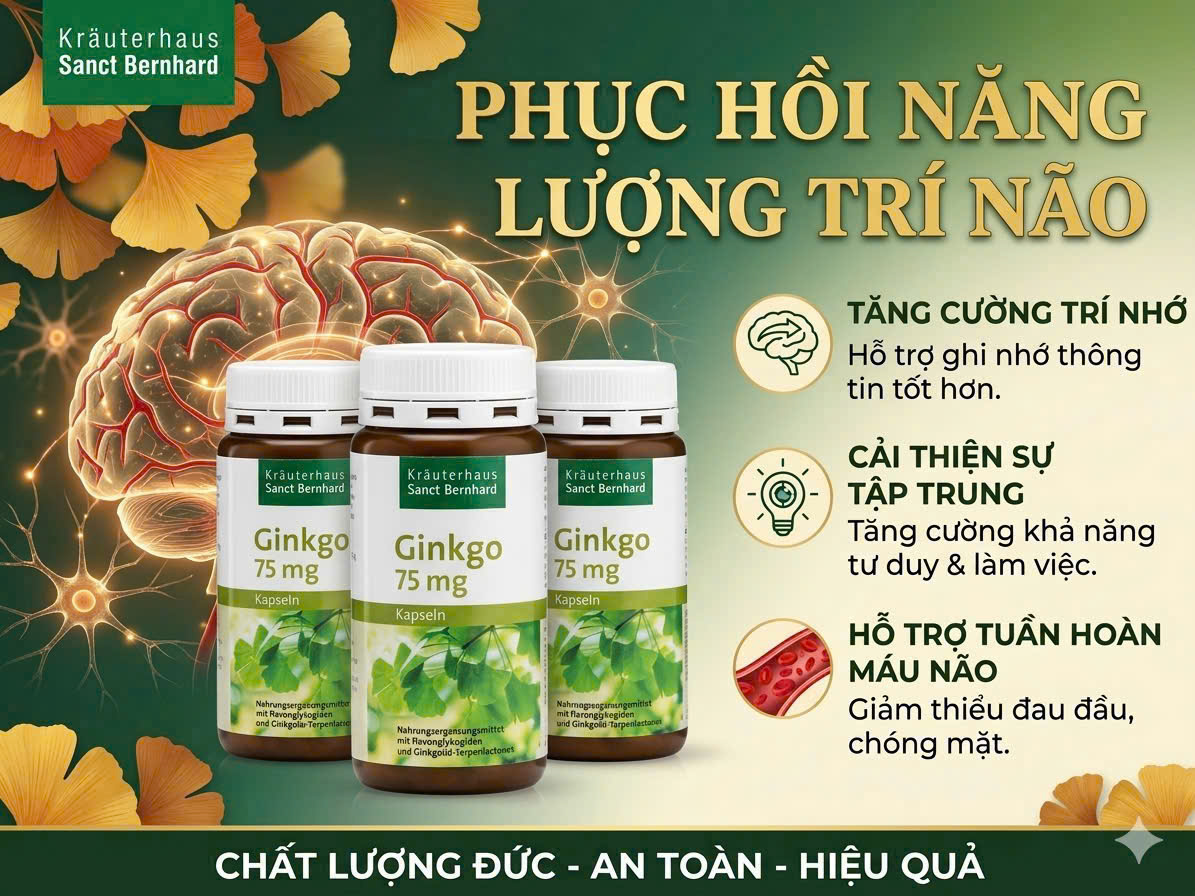 Viên uống bổ não Sanct Bernhard Ginkgo Kapseln 75mg, 240 viên Viên uống bổ não Sanct Bernhard Ginkgo Kapseln 75mg, 240 viên