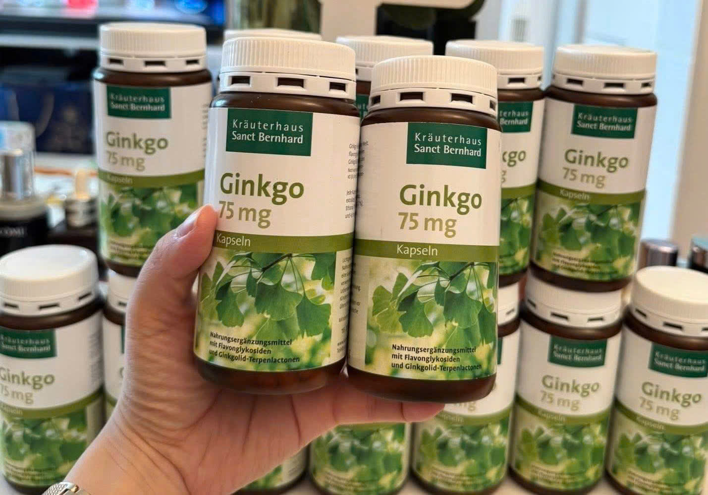 Viên uống bổ não Sanct Bernhard Ginkgo Kapseln 75mg, 240 viên Viên uống bổ não Sanct Bernhard Ginkgo Kapseln 75mg, 240 viên