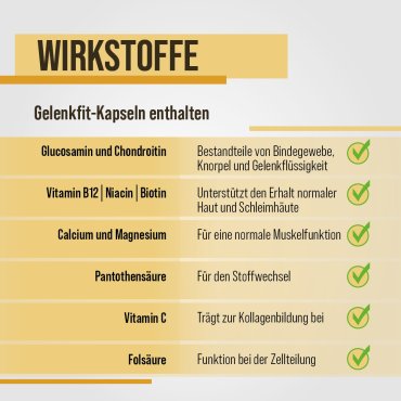Viên uống bổ xương khớp Sanct Bernhard Gelenkfit, 240 viên Viên uống bổ xương khớp Sanct Bernhard Gelenkfit, 240 viên
