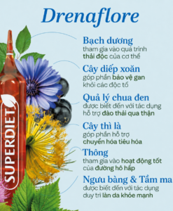 Detox thải độc chuyên sâu SUPERDIET Drainaflore Bio, 20 ống