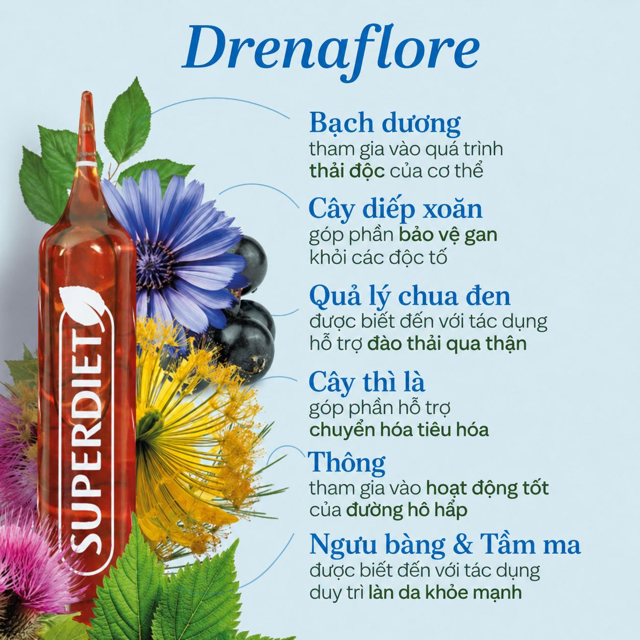 Detox thải độc chuyên sâu SUPERDIET Drainaflore Bio, 20 ống Detox thải độc chuyên sâu SUPERDIET Drainaflore Bio, 20 ống