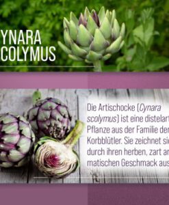 Viên uống bổ gan Sanct Bernhard Artischocken mát gan, thải độc, 150 viên