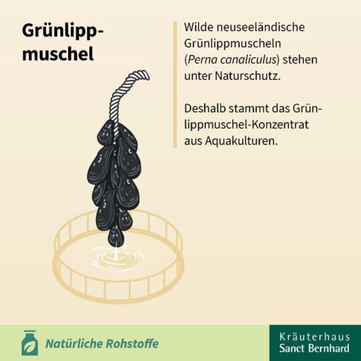Viên uống bổ khớp chiết xuất vẹm xanh Sanct Bernhard Grunlippmuschel, 150 viên