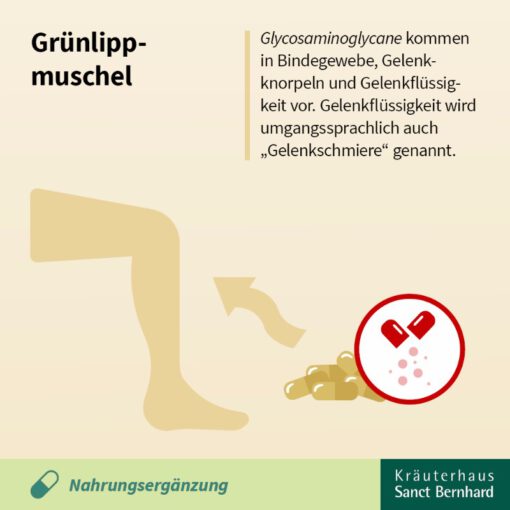 Viên uống bổ khớp chiết xuất vẹm xanh Sanct Bernhard Grunlippmuschel, 150 viên