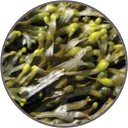 Sữa dưỡng thể Chateau Rouge Lait De Beaute làm sáng da, 400ml