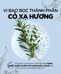Dung dịch vệ sinh Cavaillès Soin Lavant Intime Protecteur kháng khuẩn, 250ml