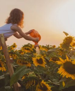 Bột Bio Island Lysine Starter For Kids tăng chiều cao cho trẻ em dưới 6 tuổi, 150g