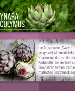 Viên uống bổ gan Sanct Bernhard Artischocken Kapseln, 150 viênViên uống bổ gan Sanct Bernhard Artischocken Kapseln, 150 viên