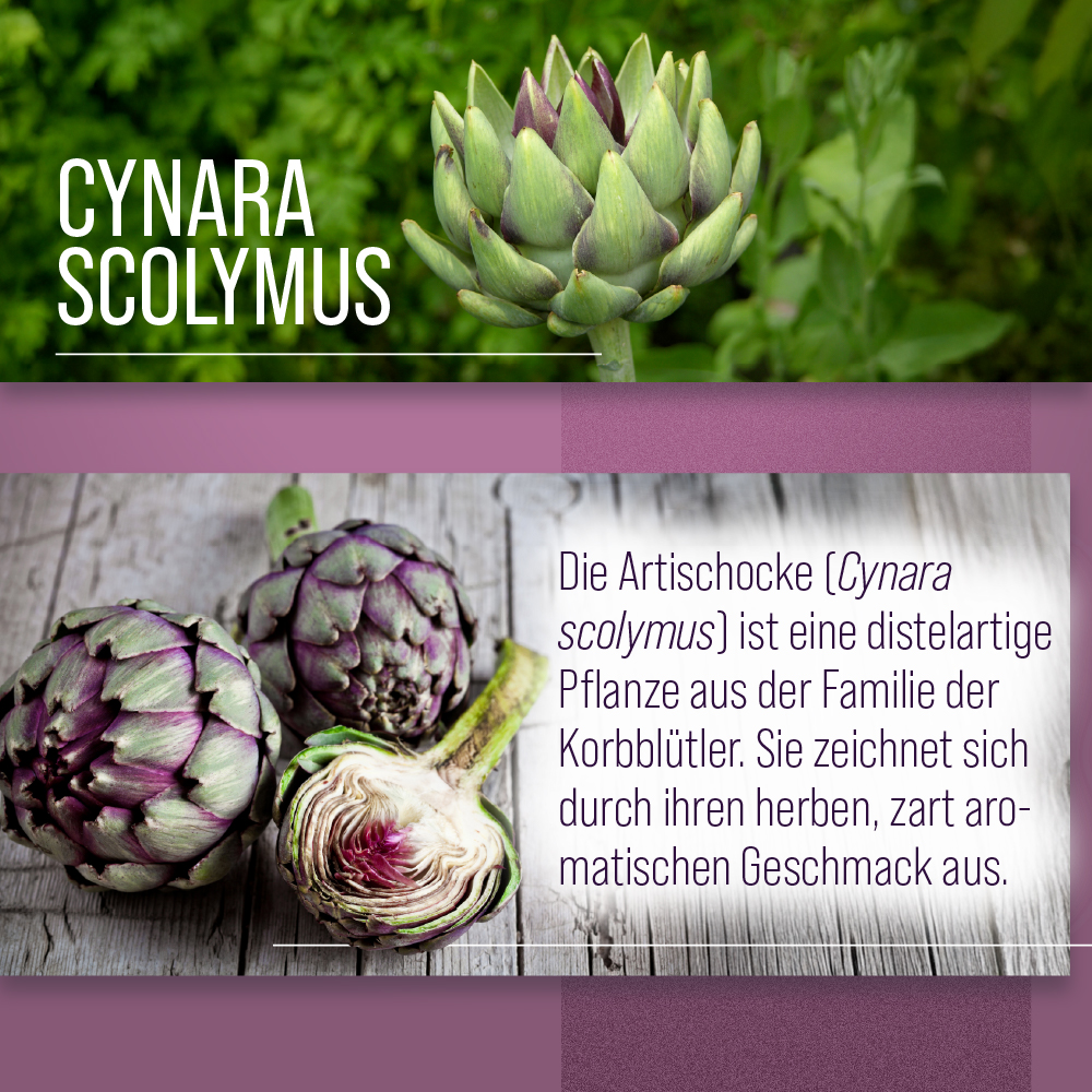 Viên uống bổ gan Sanct Bernhard Artischocken Kapseln, 150 viên Viên uống bổ gan Sanct Bernhard Artischocken Kapseln, 150 viênViên uống bổ gan Sanct Bernhard Artischocken Kapseln, 150 viên