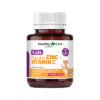 Viên nhai Healthy Care Kids Chewable Zinc + Vitamin C tăng đề kháng cho trẻ em, 60 viên