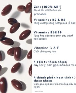 Viên uống mọc tóc Phyto Phytophanere Cheveux & Ongles, 120 viên