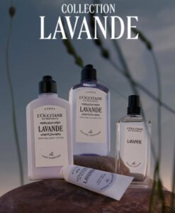 Sữa tắm L'Occitane Lavande Douche Parfumé hương hoa oải hương, 250ml