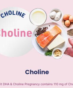 Viên uống DHA cho bà bầu Elevit DHA & Choline Pregnancy, 60 viên
