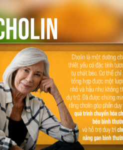 Viên tinh chất nghệ Sanct Bernhard Curcuma Kapsel, 60 viên