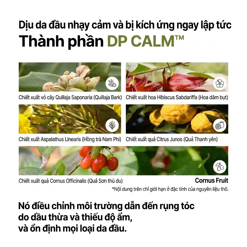 Dầu gội Hetras Simkong Perfume Shampoo No.7 Hotel Wood, 1013ml Dầu gội Hetras Simkong Perfume Shampoo No.7 Hotel Wood, 1013ml