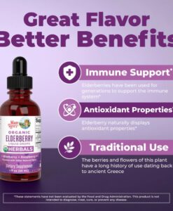 Tăng đề kháng hữu cơ Maryruth's Organic Elderberry Liquid Drops, 30ml
