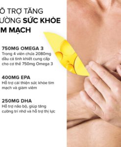 Viên uống dầu cá Arkopharma Omega-3 Arkogélules, 180+60 viên