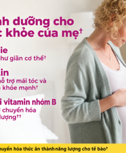 Vitamin tổng hợp cho bà bầu Nature Made Prenatal Multivitamin Folic Acid + DHA, 150 viên