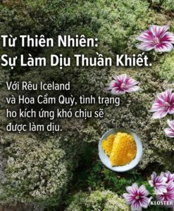 Siro trị ho KLOSTERFRAU Bronchial Husten Sirup, 100 ml
