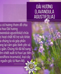 Viên uống Sanct Bernhard Lavendel Nerven-Kapseln hỗ trợ hệ thần kinh, giúp ngủ ngon, 120 viên